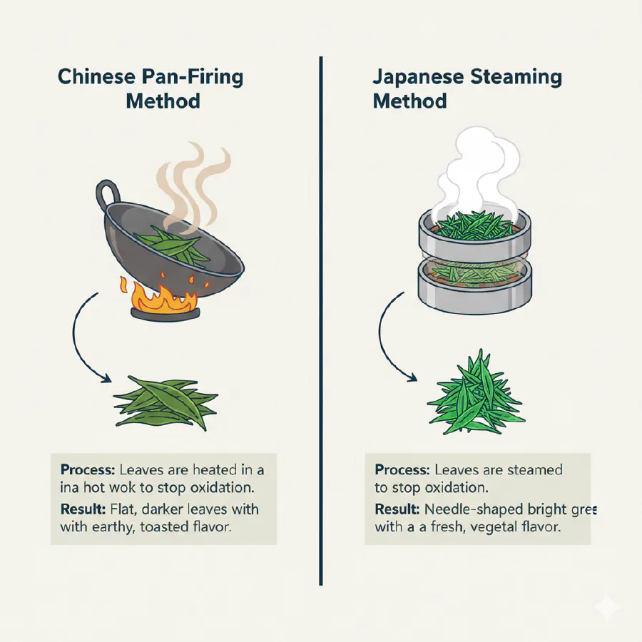 Comparison diagram showing Chinese pan-firing vs Japanese steaming methods for green tea processing